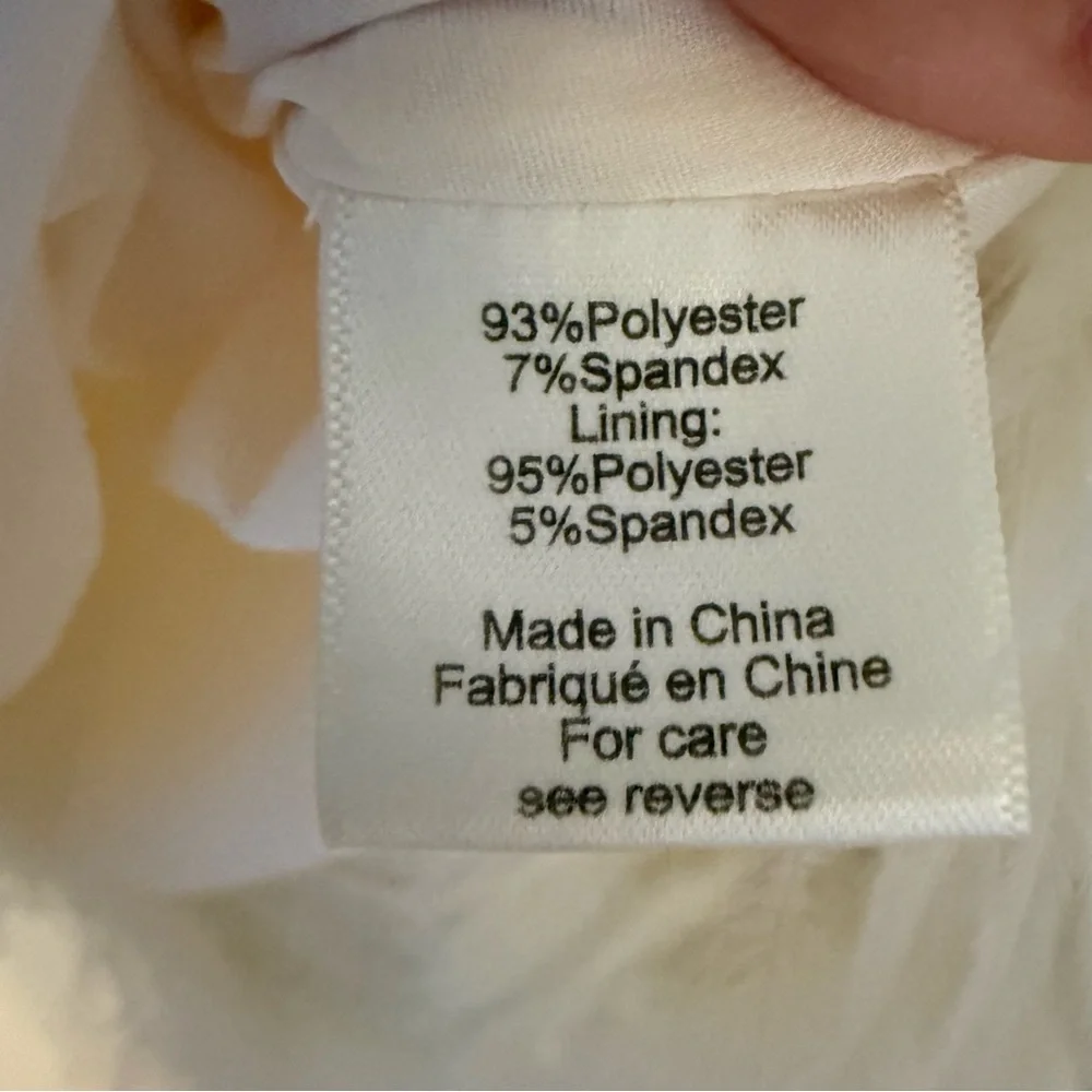 Ronny Kobo Fallen Feathered-Hem Mini Dress – Ivory (XS) - Picture 8 of 12